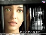 Provoked: A True Story (2006)